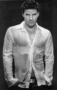 david_boreanaz_04