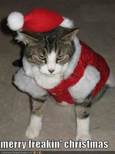 funny-pictures-merry-freakin-christmas-cat